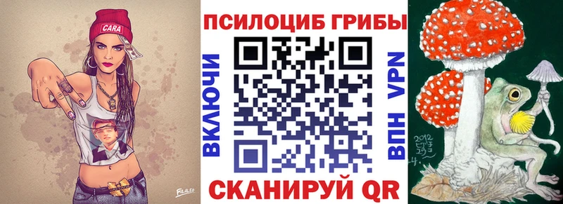 Галлюциногенные грибы Psilocybine cubensis  магазин продажи наркотиков  Сердобск 